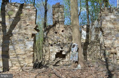 0 Raven Rocks Rd unit 1003475354, Bluemont, WV 20135 - photo 3