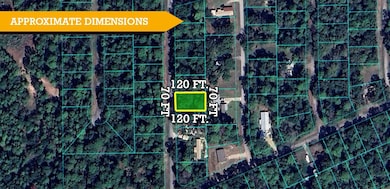 0 Oak Dr unit 25548688, Trinity, TX 75862 - photo 5