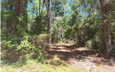 4359 288th St, Branford, FL 32008 - photo 3