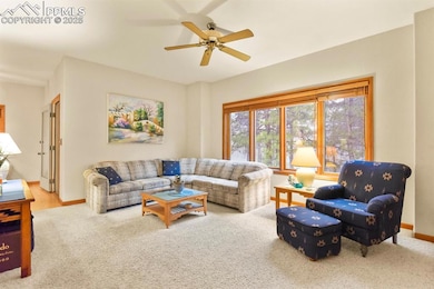 19085 Merry Men Cir, Monument, CO 80132 - photo 6