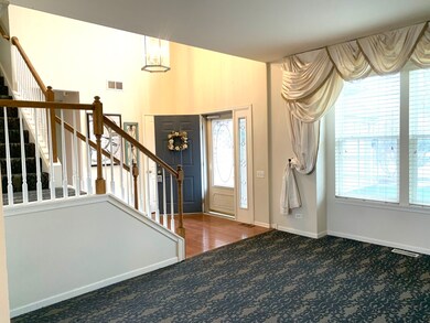 3910 Georgetown Cir, Algonquin, IL 60102 - photo 4