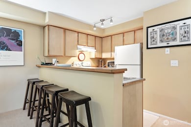 29 Etruria St unit B405, Seattle, WA 98109 - photo 7