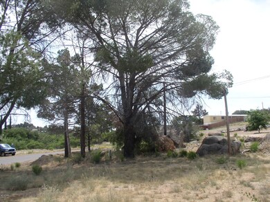 Camino Seco 004