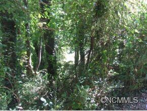 Mature Trees & Level Back