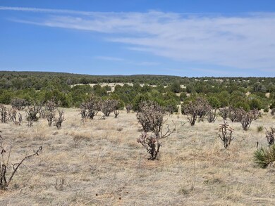 0 Oakwood Rd unit 2, Tajique, NM 87016 - photo 3