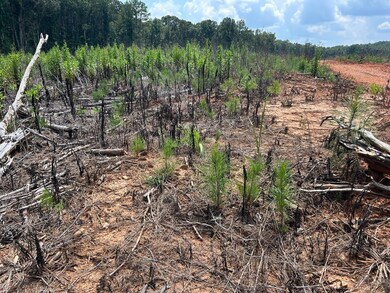 162 Tuggle Rd, Eatonton, GA 31024 - photo 5