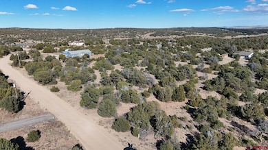 TBD Antelope Loop, Walsenburg, CO 81089 - photo 2