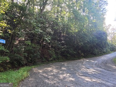 LOT 6 Miners Mountain Rd, Sautee Nacoochee, GA 30571 - photo 7