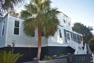 beautiful palmetto