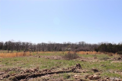 0, Fulton, MO 65251 - photo 7