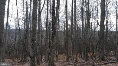 36 A High View Rd, Lost River, WV 26810 - photo 2