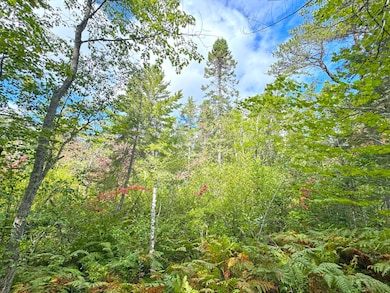 14599 N Whitefish Point Rd, Paradise, MI 49768 - photo 3