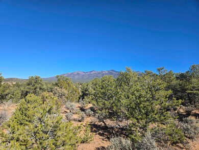 TBD Hondo Seco Rd, El Prado, NM 87529 - photo 5