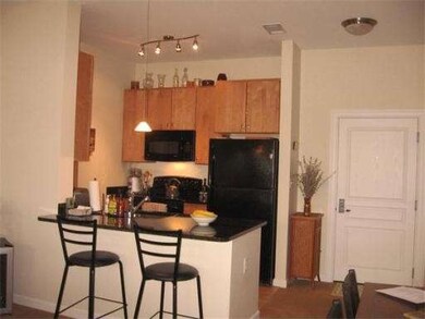 4 Repton Cir unit 4407, Watertown, MA 02472 - photo 4