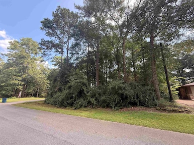 0000 Wildwood Dr unit Hemlock St., Village Mills, TX 77663 - photo 5