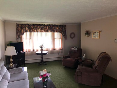 13 Spring Ln, Spring Brook Township, PA 18444 - photo 6