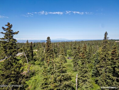 L3 B5 Mountain Air Dr, Anchorage, AK 99516 - photo 7