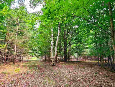 V/L Sloptown Rd, Beaver Island, MI 49782 - photo 4