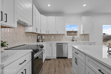 4310 Van Dyke Dr, Knoxville, TN 37919 - photo 6