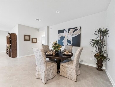 30743 Wicklow Gardens Dr, Fulshear, TX 77423 - photo 6