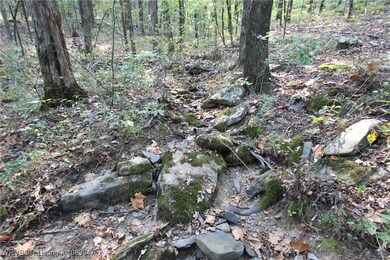 tbd Old 81 Loop, Rudy, AR 72952 - photo 3