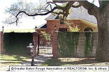 Giant Live Oak shades Courtyard