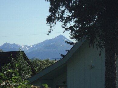 MOUNTAIN VIEWS