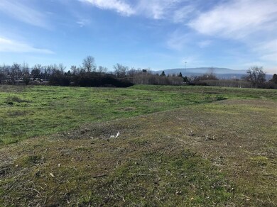 1800 E Pine St, Central Point, OR 97502 - photo 4