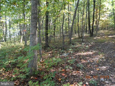 2 Spring Gap Rd, Slanesville, WV 25444 - photo 7