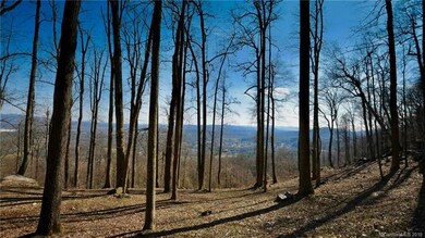 49 Split Rock Tr unit 4, Avery Creek, NC 28704 - photo 2