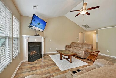 115 Weeping Cypress full den fp