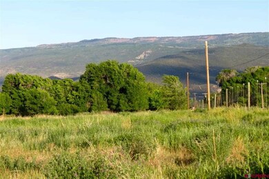 0 NW Sage Ave unit 690849, Cedaredge, CO 81413 - photo 3