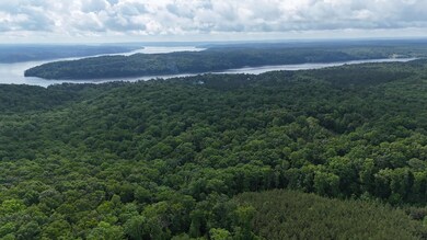 0 0 Cr 323 (29 Acres) unit 25-2233, Iuka, MS 38852 - photo 7