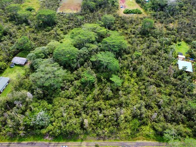 0 Kiele St unit 725402, Kurtistown, HI 96760 - photo 6