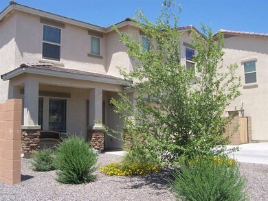MATURE DESERT LANDSCAPING