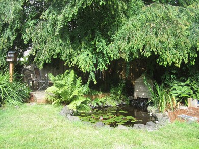 Pond