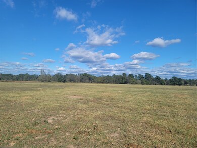 12403 Fm 1975 unit Parcel D, Gilmer, TX 75644 - photo 5