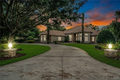 3165 W Wentworth Loop, Lecanto, FL 34461 - photo 3