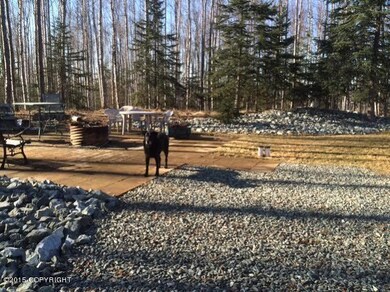 back area fire pit.jpg