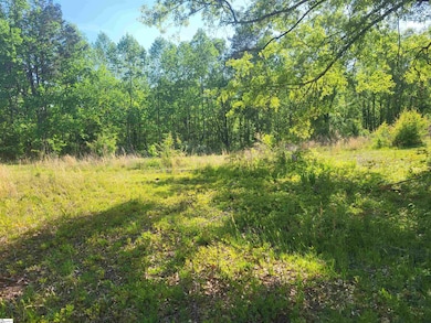 3151 N Highway 14, Greer, SC 29651 - photo 4