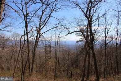 0 0 Back Rd, Toms Brook, VA 22660 - photo 2