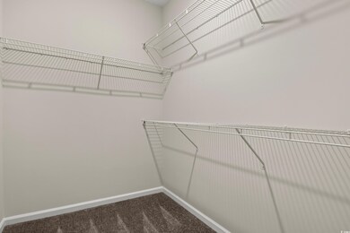Walk in closet with dark carpet