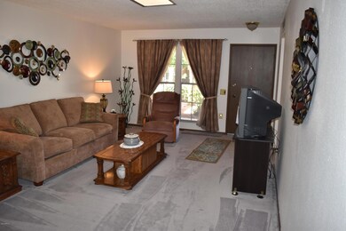 10811 W Santa fe Dr, Sun City, AZ 85351 - photo 2