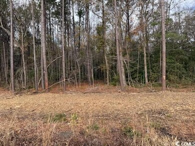 View of local wilderness