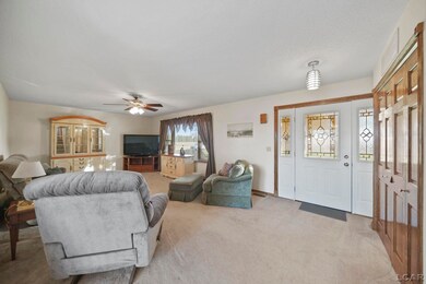 10100 Rouget Rd, Blissfield, MI 49228 - photo 6