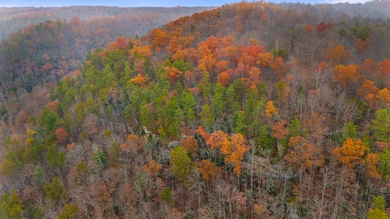 DJI_20251110133810_0016_D