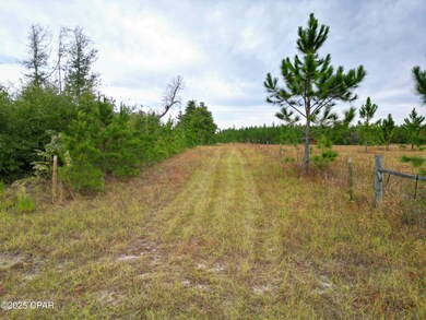 00 Glenmore Ct, Marianna, FL 32446 - photo 5