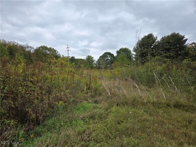 V/L Parkman Rd, Windham, OH 44288 - photo 6