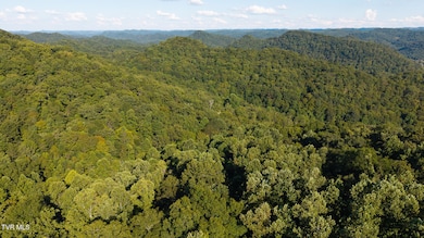 32.38 Ac Panther Creek Rd, Sneedville, TN 37869 - photo 7