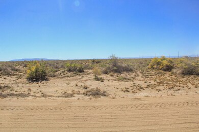 Garnet Dr, Alamosa, CO 81101 - photo 5